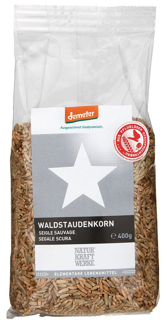 ZH3KpzhEyS8ZdG Waldstaudenkorn_RGB