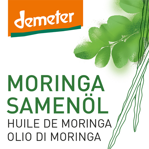 Moringasamenoel_K